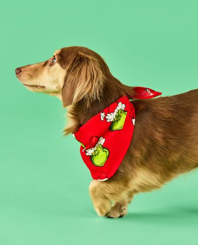 Dr. Seuss Grinch Flannel Dog Bandana in Merry Grinchmas on Red - main