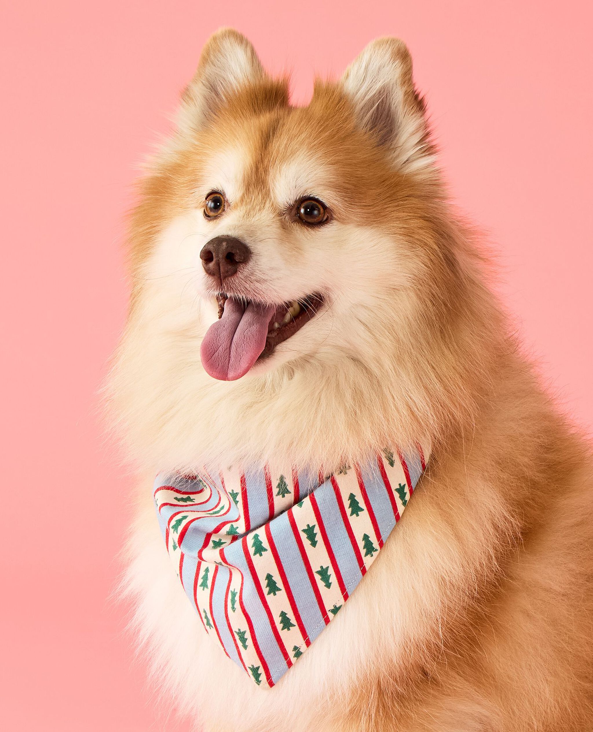Holiday Flannel Dog Bandana in Tree Ribbons on Blue - main