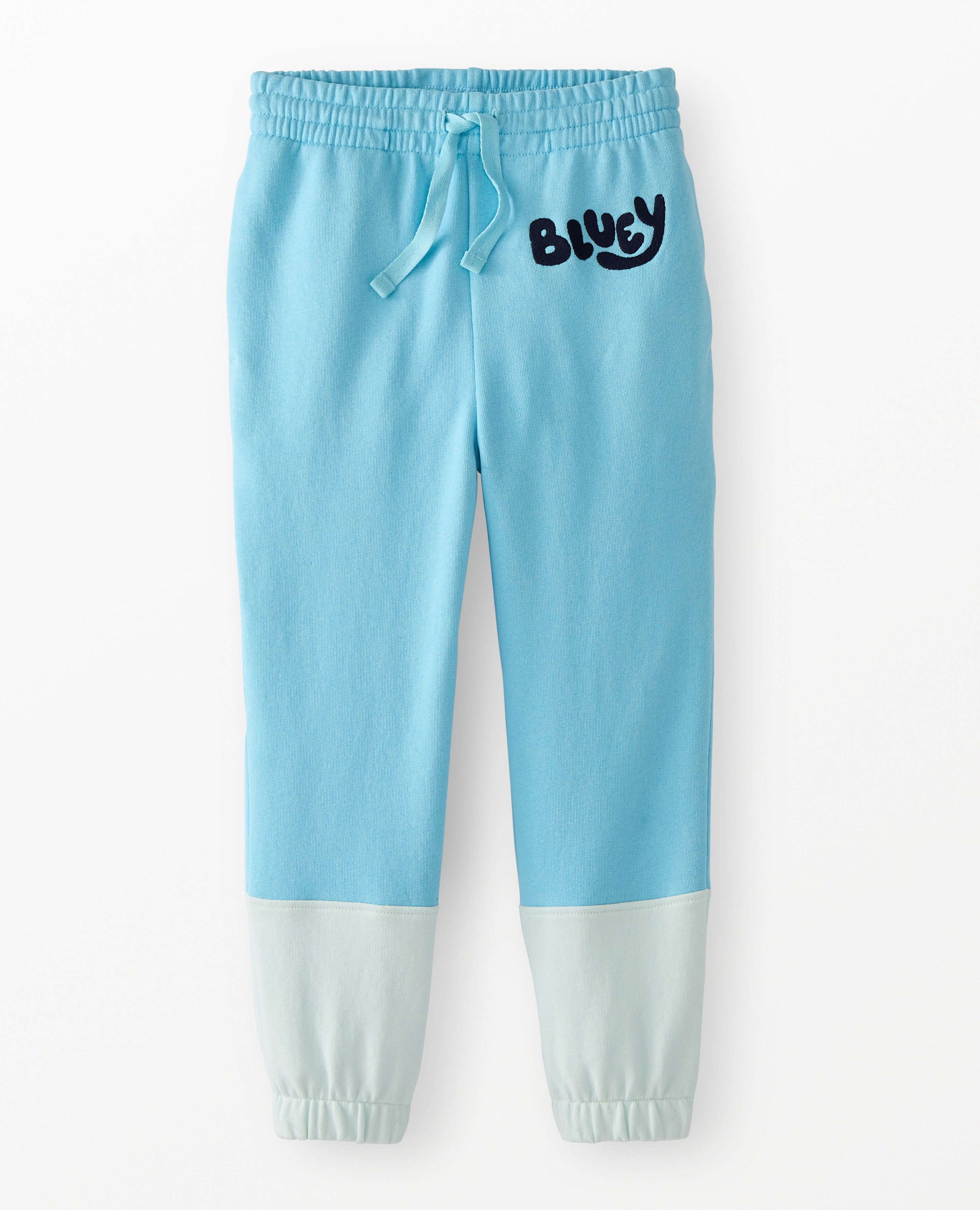 Bluey French Terry Sweatpants in Bluey - main