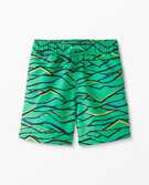 Print Swim Trunks in Painted Hills on Minty Green - main