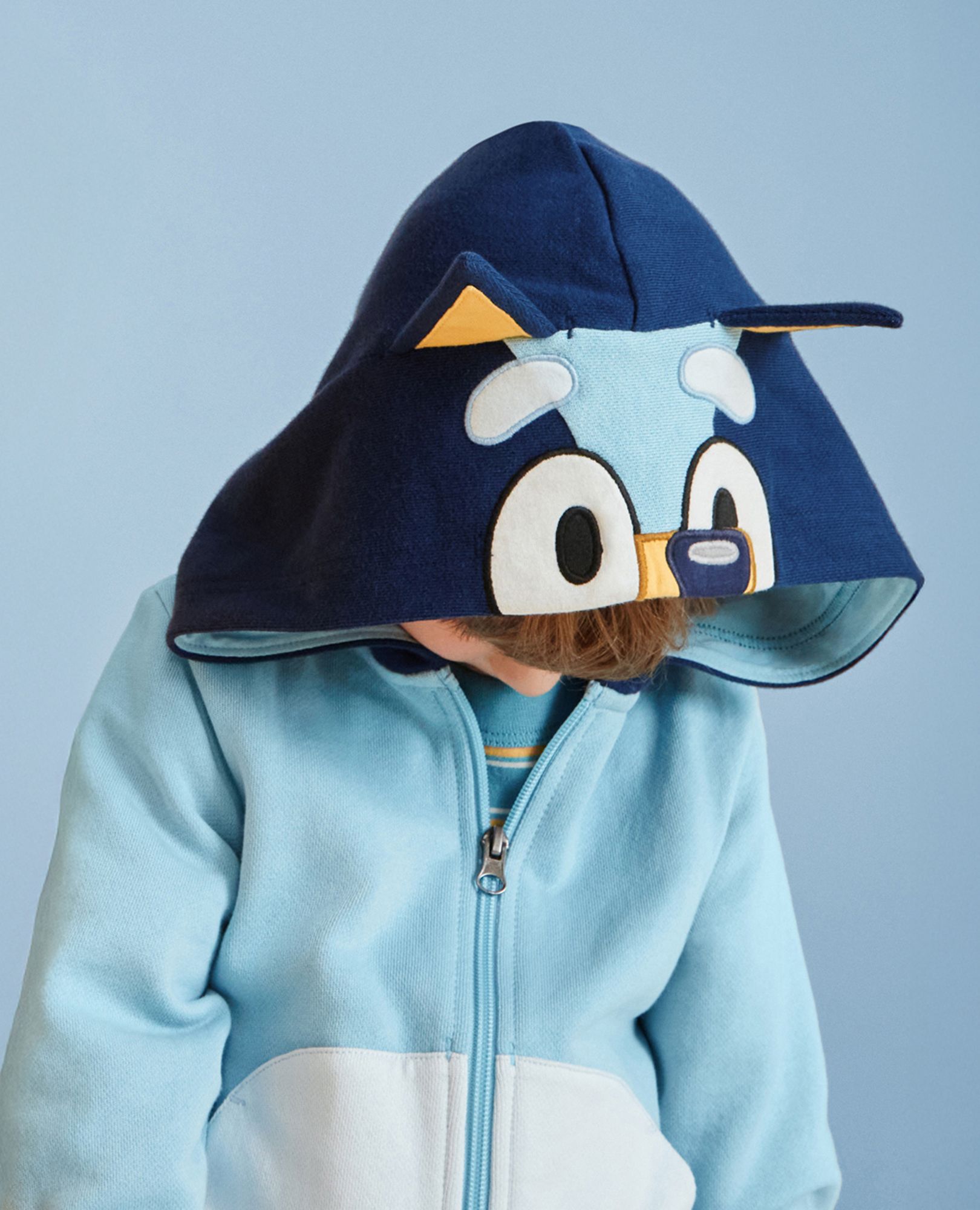 Bluey Character French Terry Hoodie in Bluey - main
