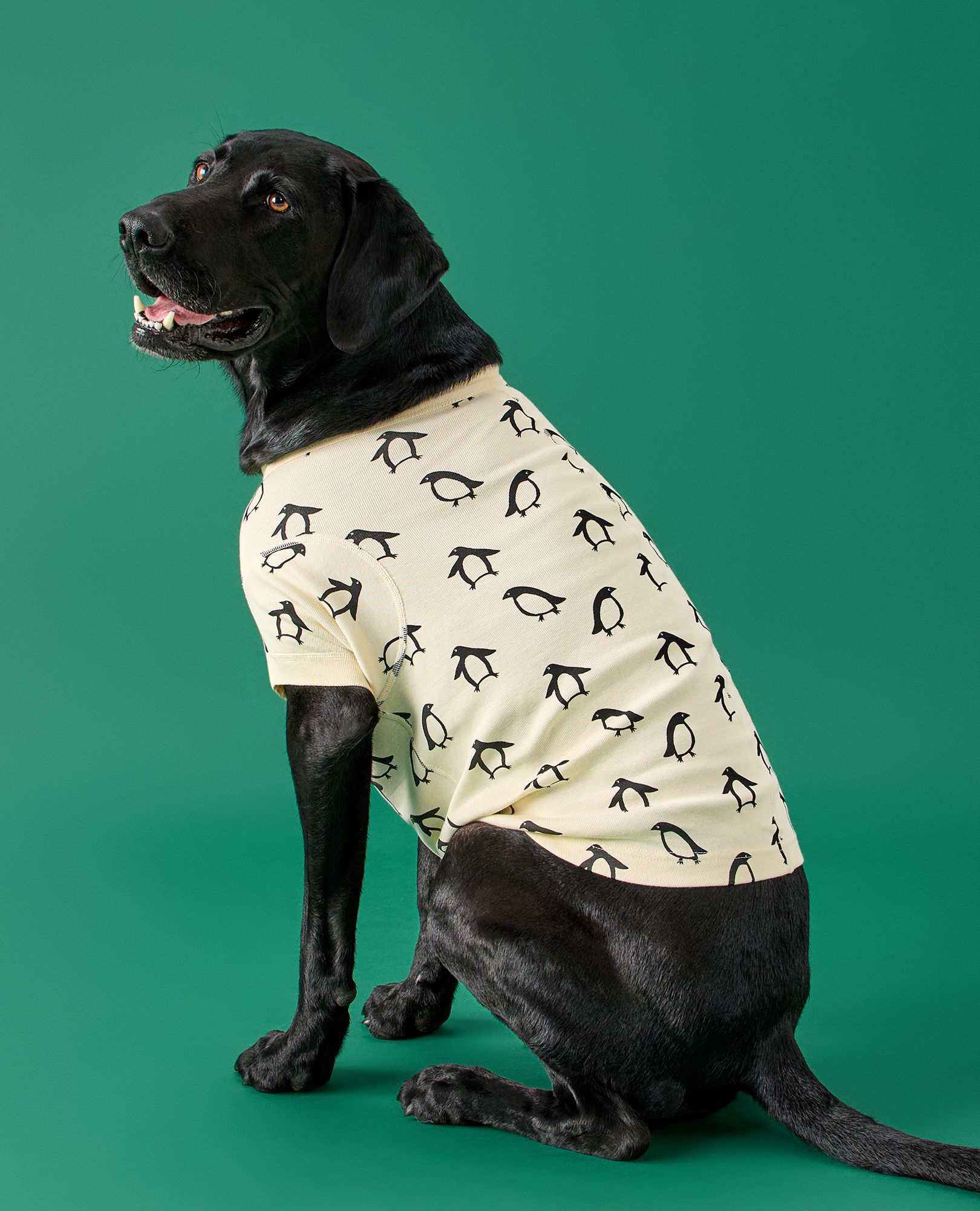 Holiday Dog Pajamas in Squeaky the Penguin - main