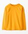 Radiant Yellow