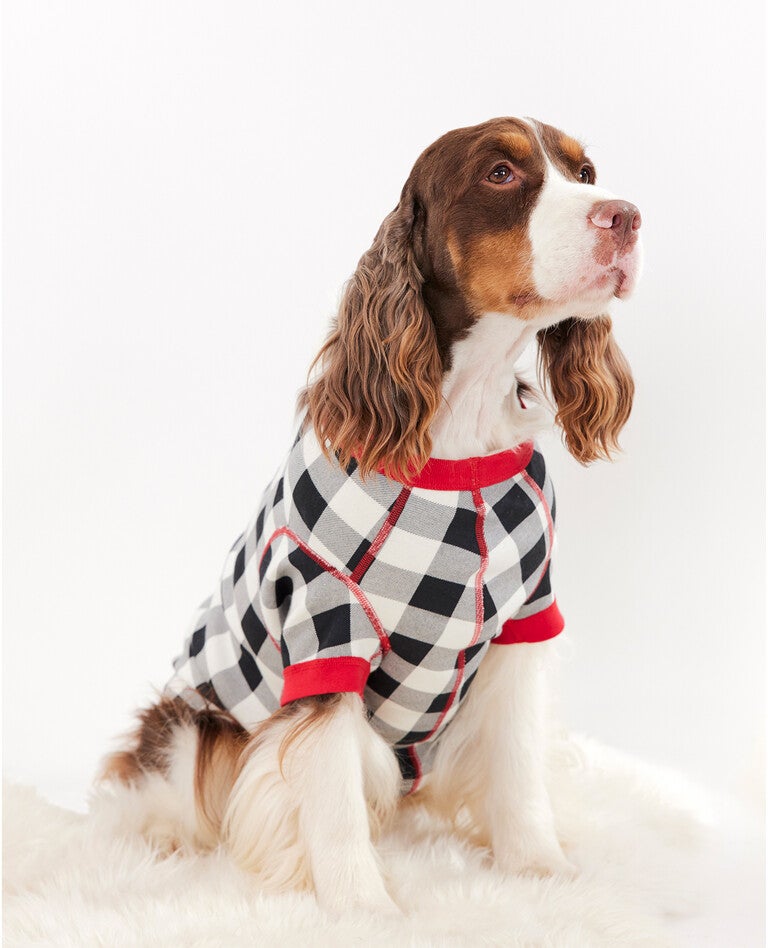 Revolutionize Your Dog Training with Afterpay Collars