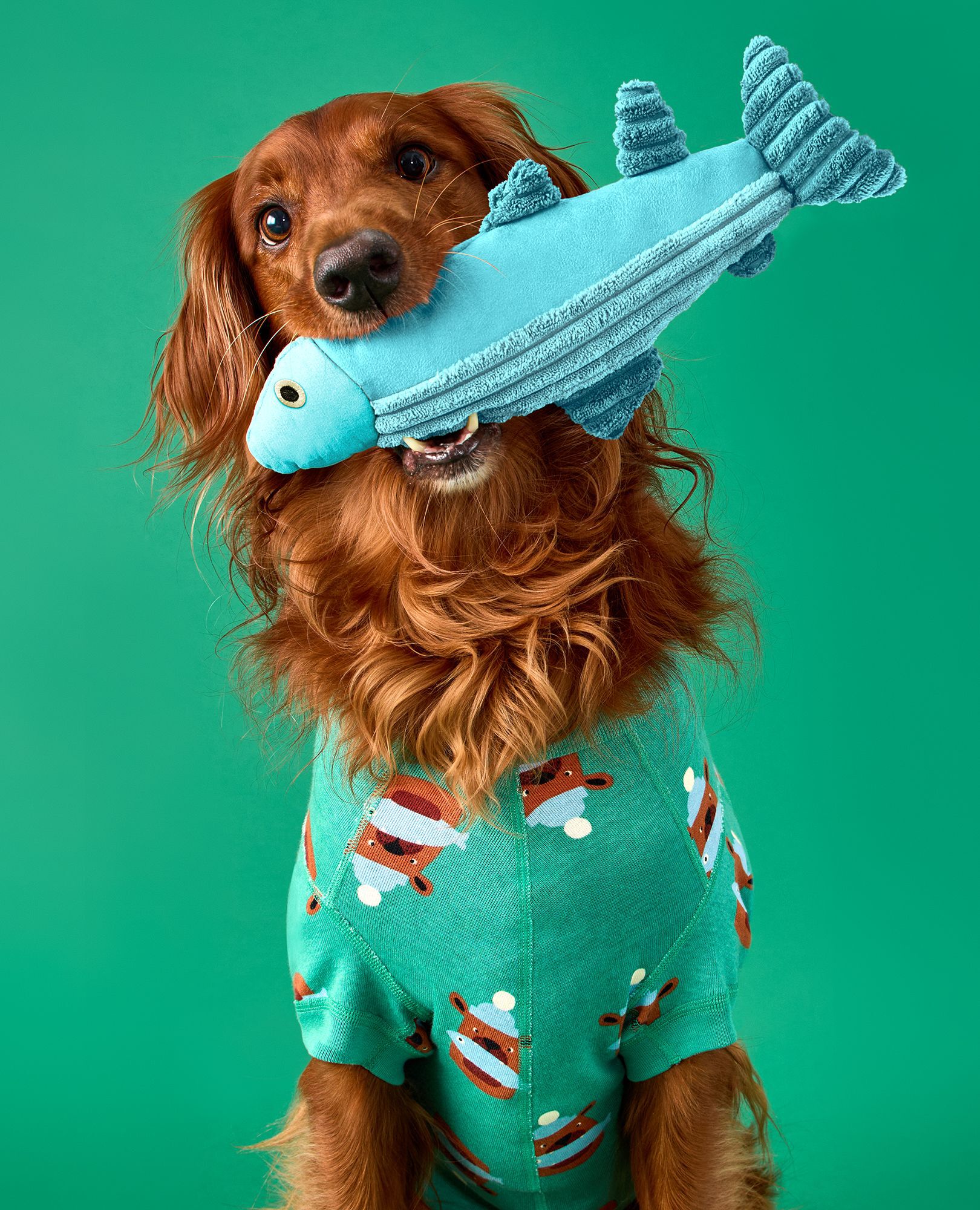 Holiday Dog Pajamas in Fresh Catch on Bottle Green - main