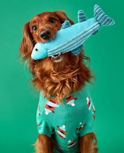 Holiday Dog Pajamas in Fresh Catch on Bottle Green - main