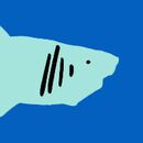 Swim Trunks in Neon Sharks - swatch