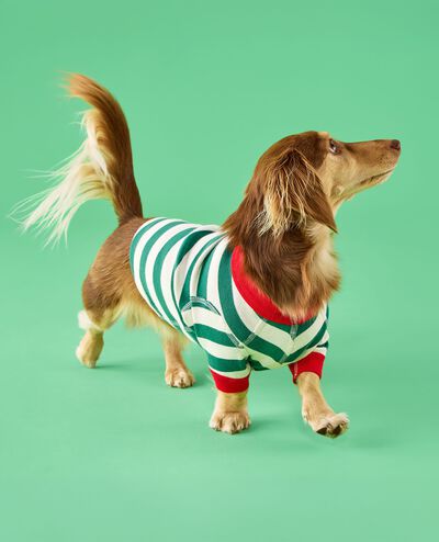 Holiday Dog Pajamas in Fir Tree/Ecru - main