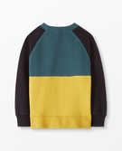 Colorblock Crewneck Sweatshirt In French Terry in Juniper Multi - main