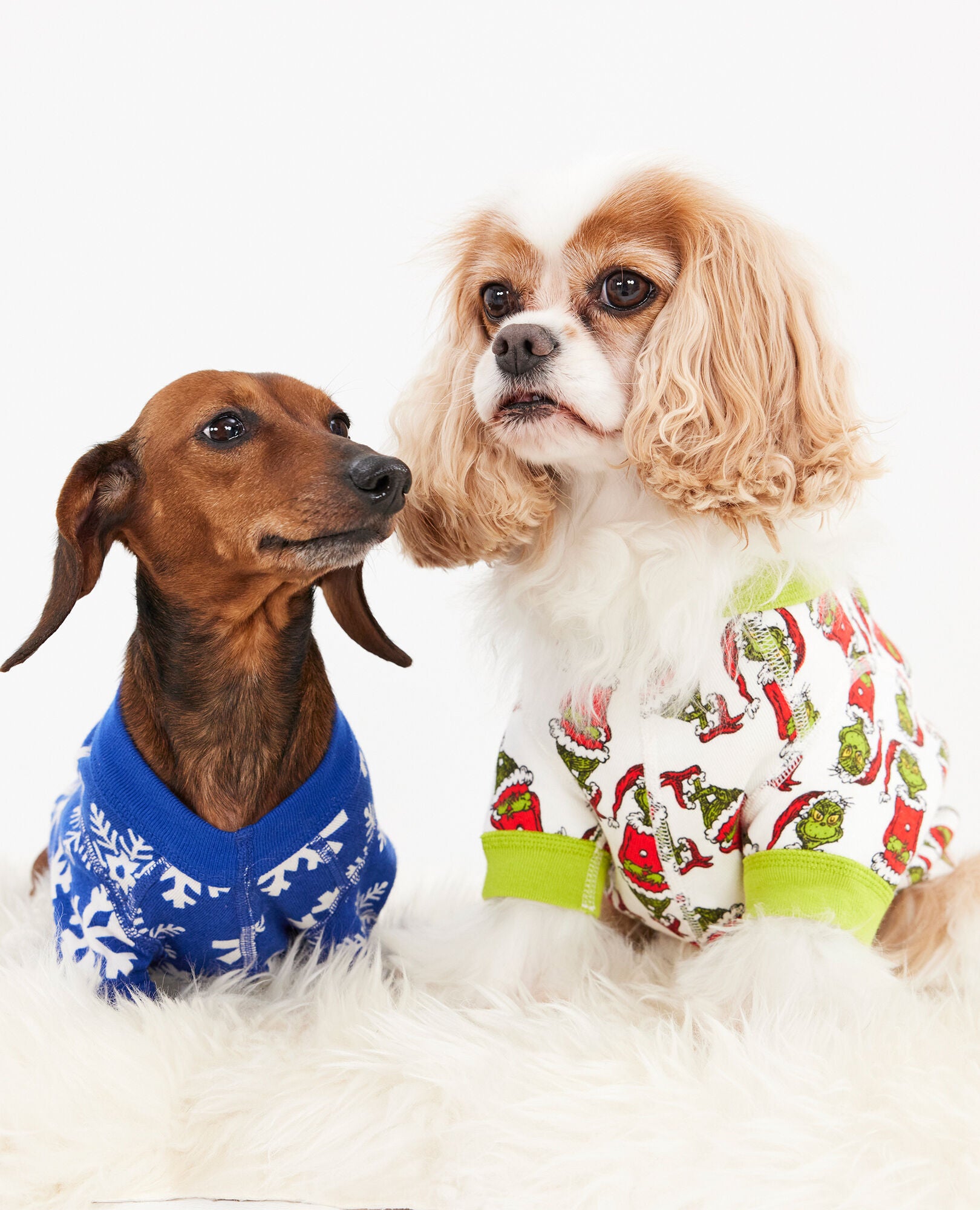 Dr. Seuss Grinch Dog Pajamas