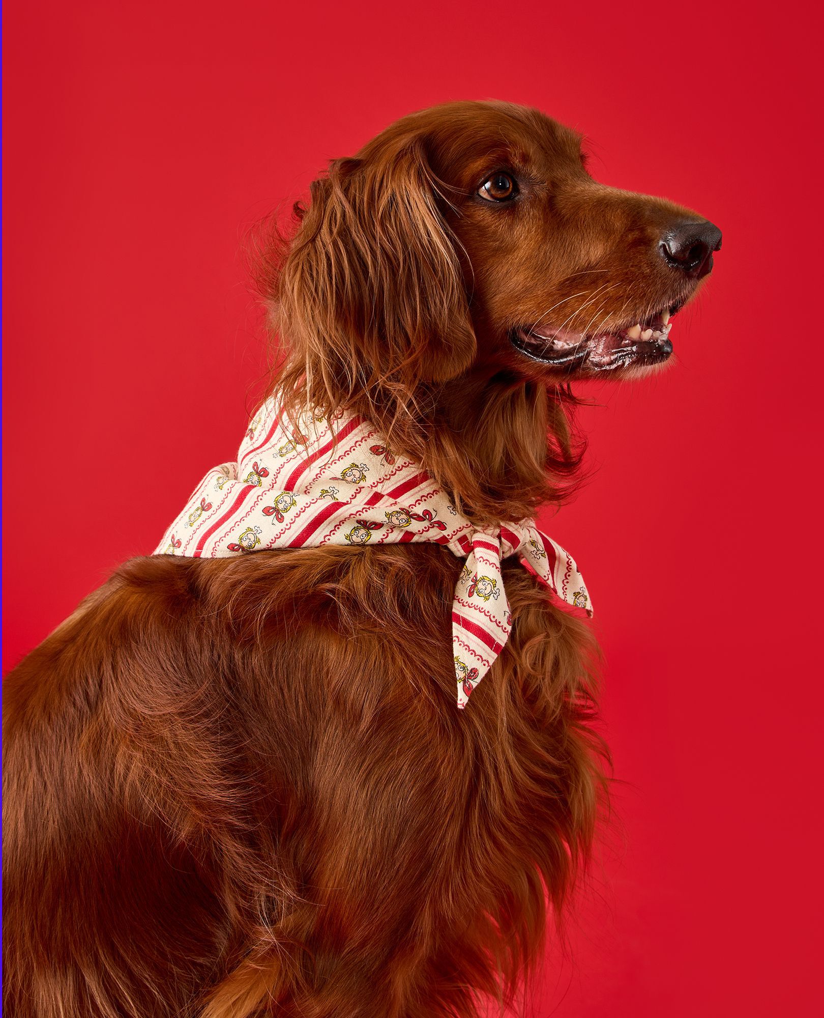 Dr. Seuss Grinch Flannel Dog Bandana in Cindy Lou Wallpaper - main