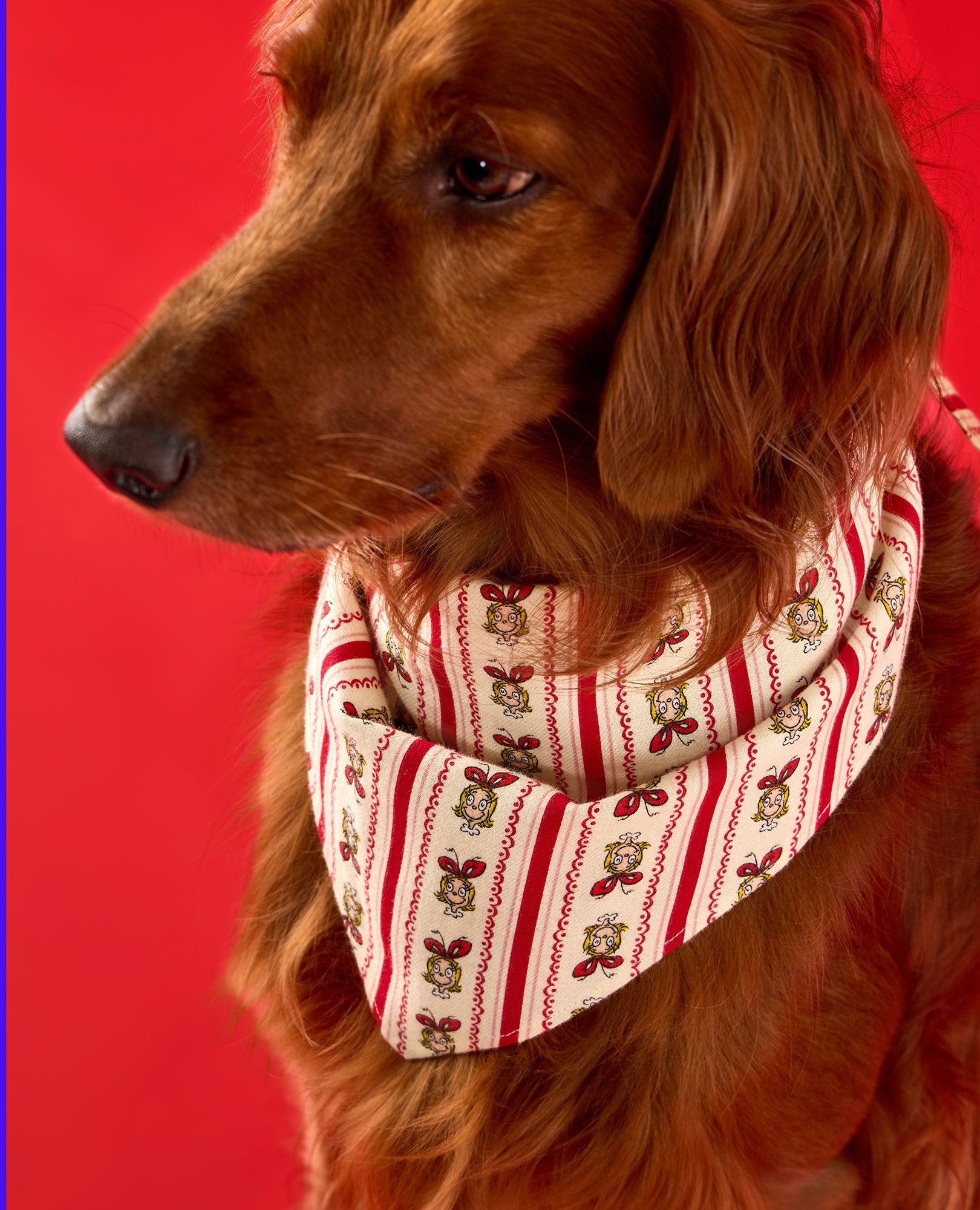 Dr. Seuss Grinch Flannel Dog Bandana in Cindy Lou Wallpaper - main