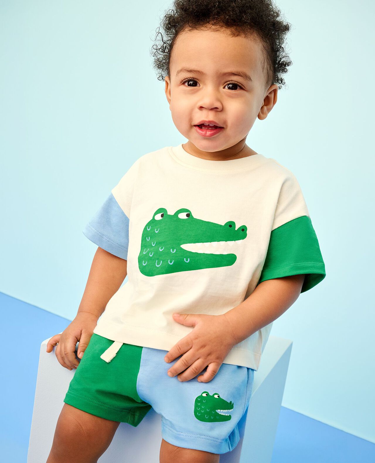 Baby Relaxed Fit Graphic T-Shirt & Shorts Set in Alligators - main
