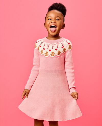 Holiday Fair Isle Sweater Dress in Gingerbread Fair Isle - main