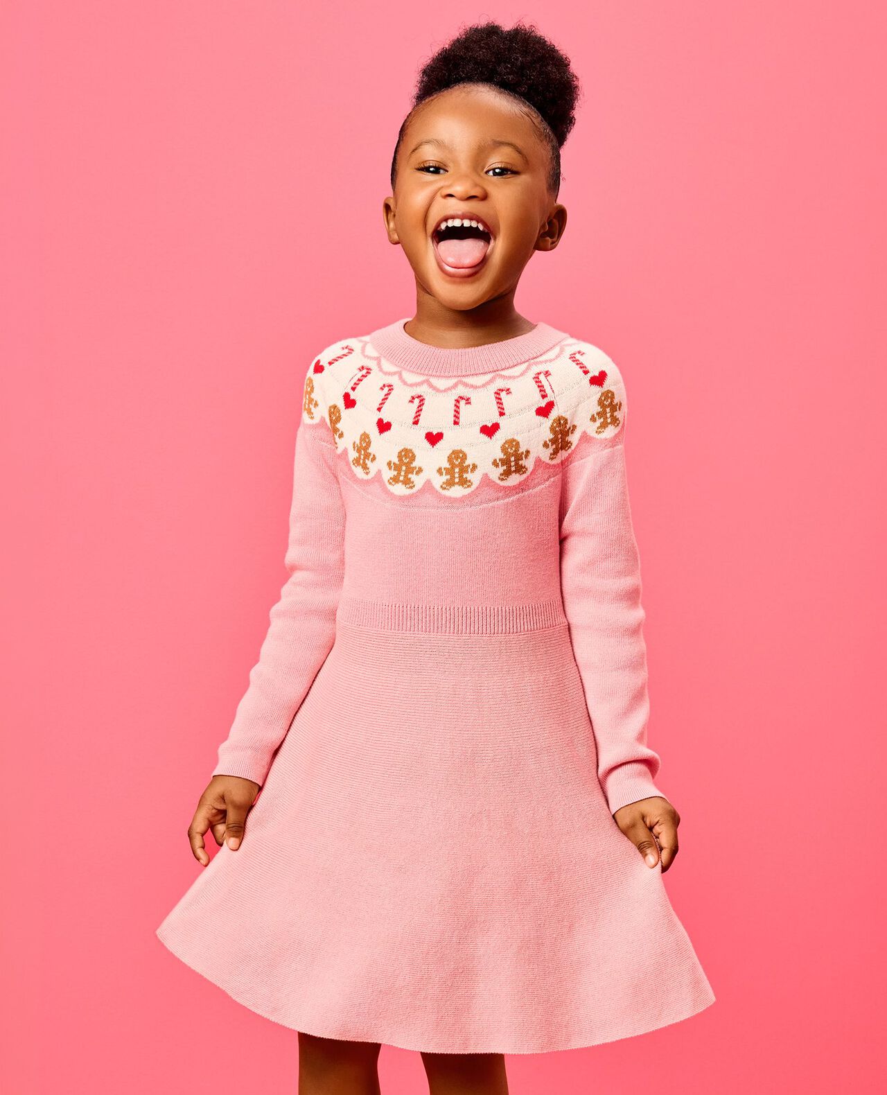 Holiday Fair Isle Sweater Dress in Gingerbread Fair Isle - main