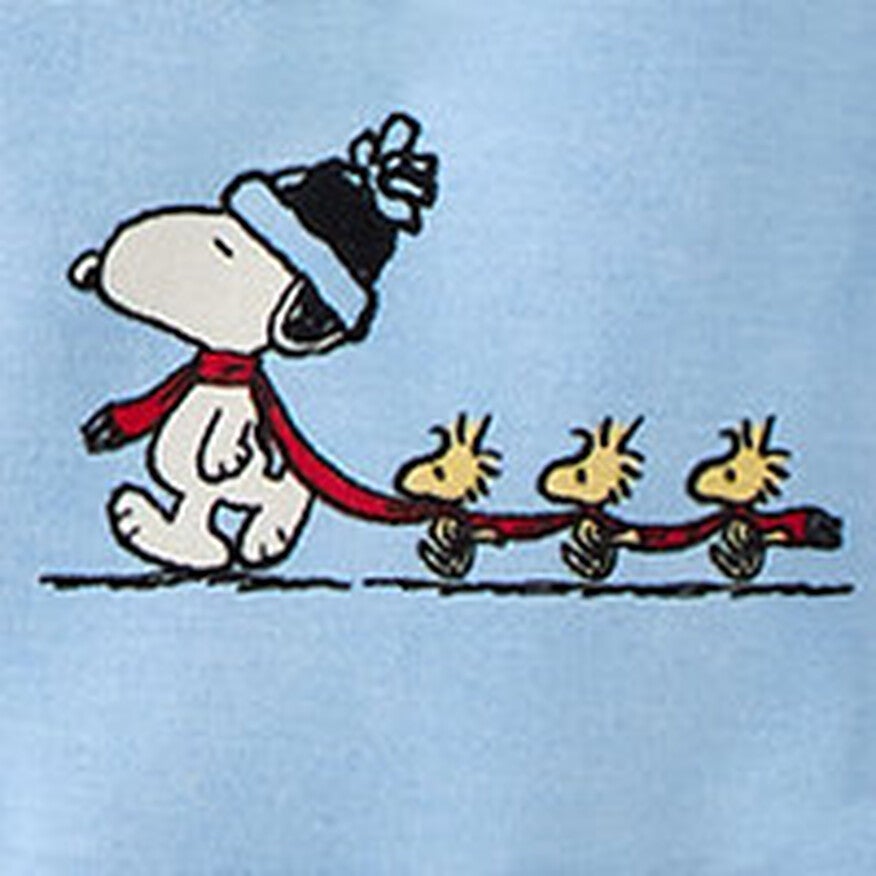 Snoopy and Woodstock in Winter