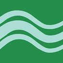 Graphic T-Shirt & Shorts Set in Monstera Green - swatch