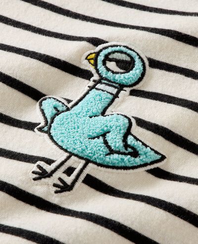 Pigeon Long Sleeve Classic Fit T-Shirt in Hidden Pigeon - Stripe - main