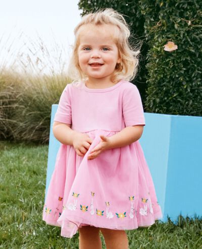 Baby Embroidered Tulle Skater Dress in Springtime Bunnies on Pink - main