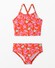 Tropical Fauna on Red