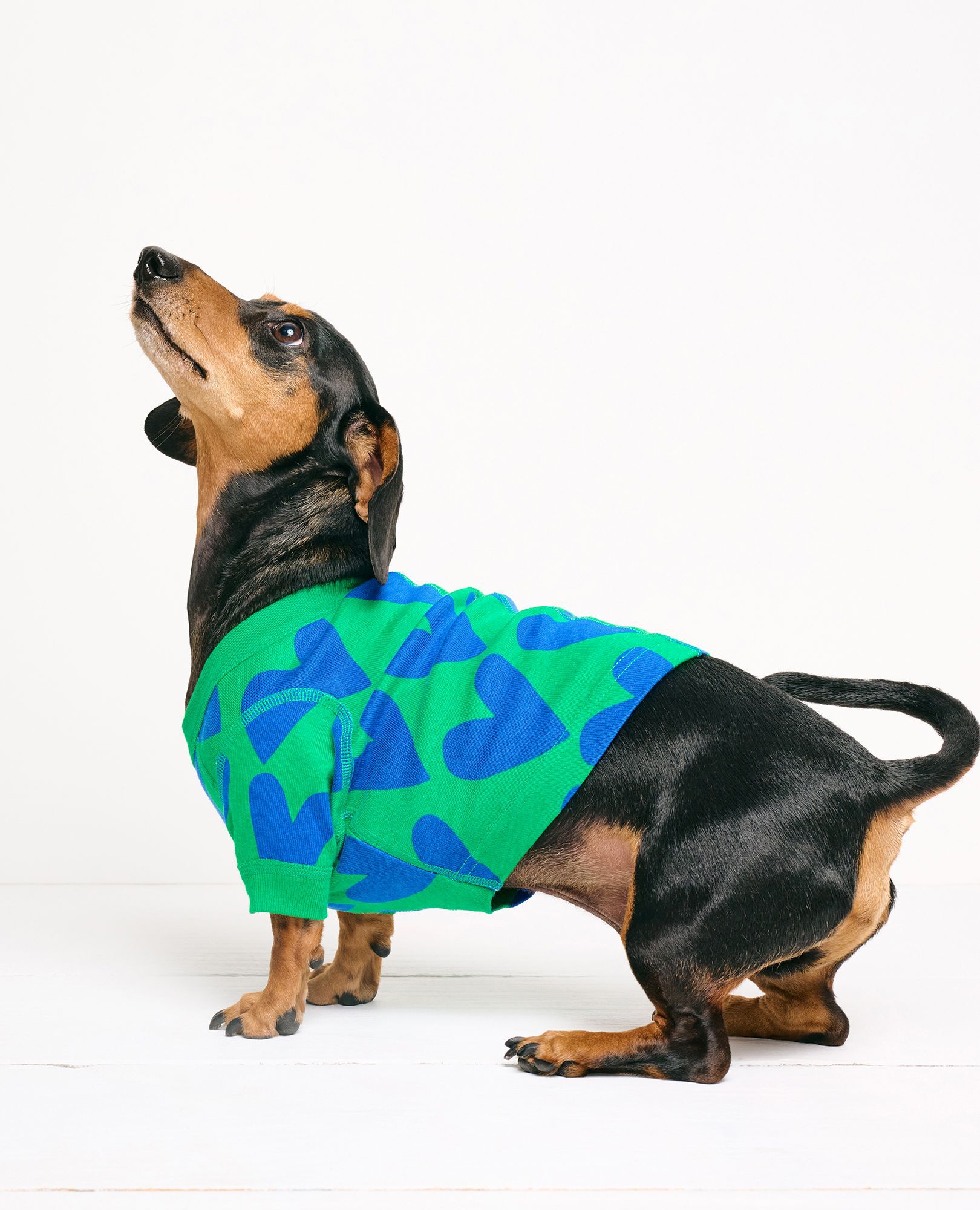 Weiner hotsell dog pajamas