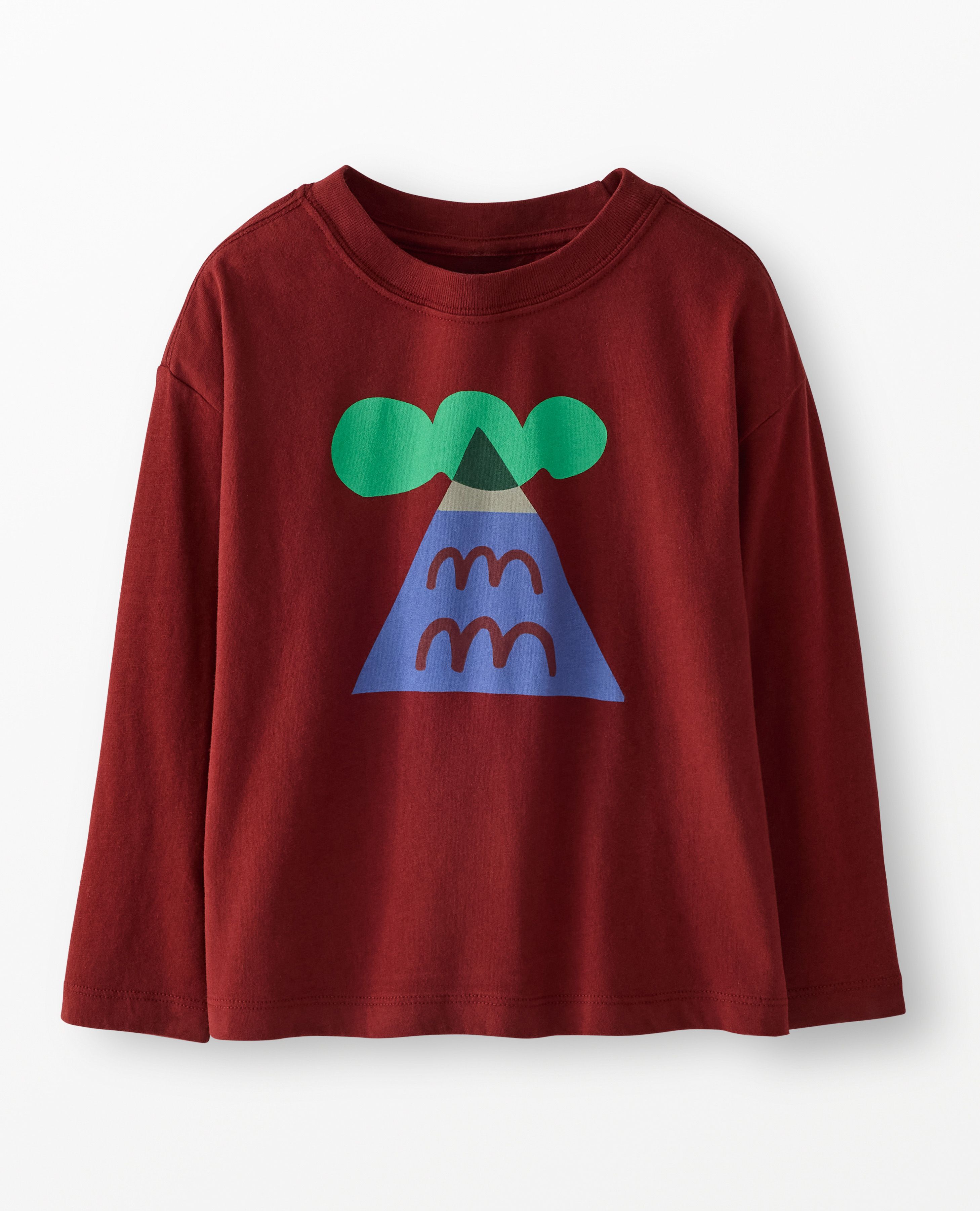 Long Sleeve Relaxed Fit Graphic T-Shirt in Abstract Mountain - main