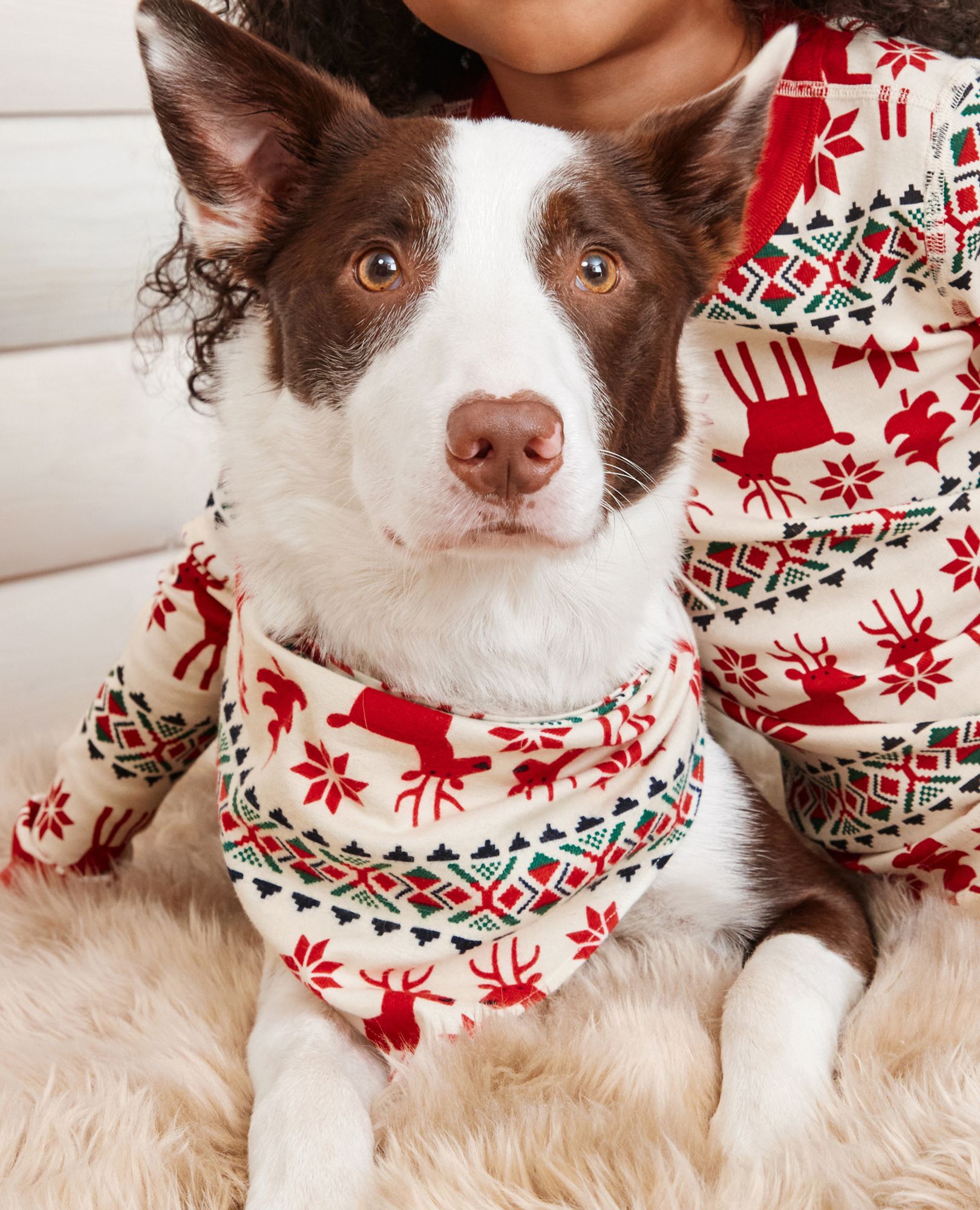 Flannel Dog Bandana in Dear Deer - main