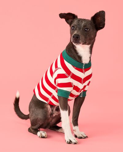 Holiday Dog Pajamas in Ribbon Red/Ecru - main