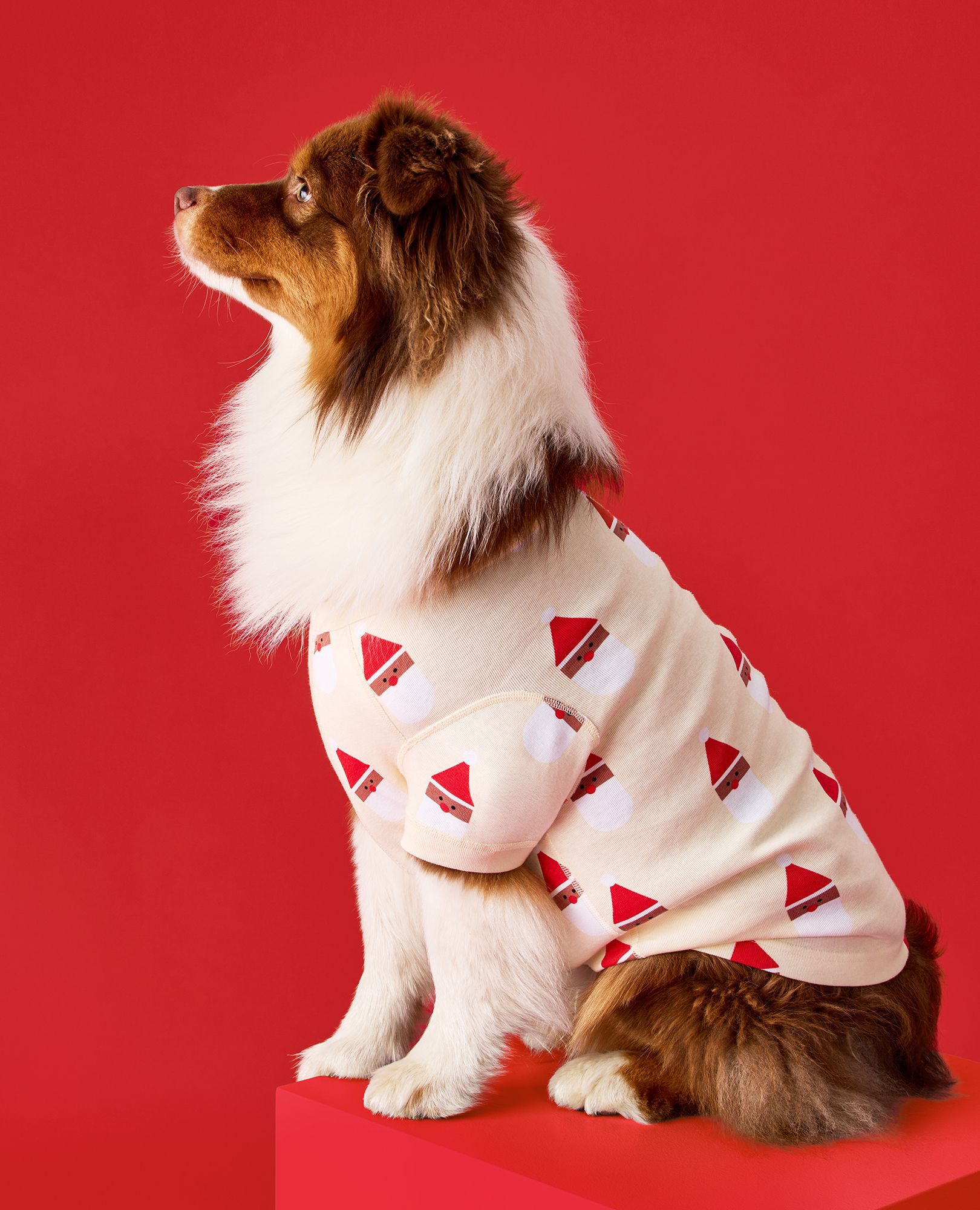 Holiday Dog Pajamas in Scandi Santa on Almond Oil - main