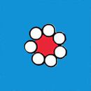 Baby Poplin Button Up Shirt & Shorts Set in Red Flowers on Swedish Sky - swatch