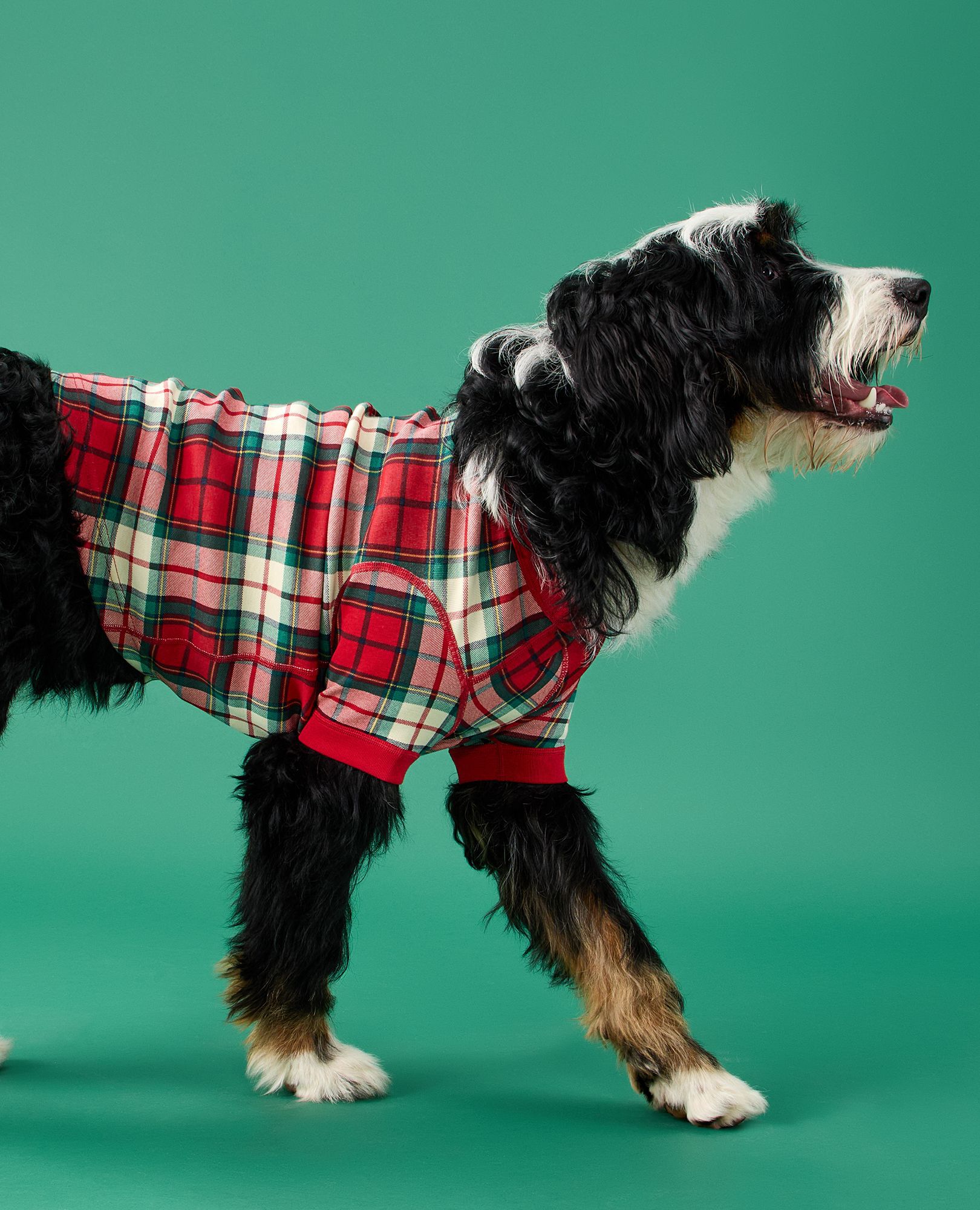 Holiday Dog Pajamas Hanna Andersson