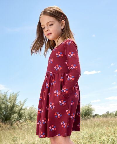 Long Sleeve Skater Dress with Pockets in Flowers on Cherry Lacquer - main