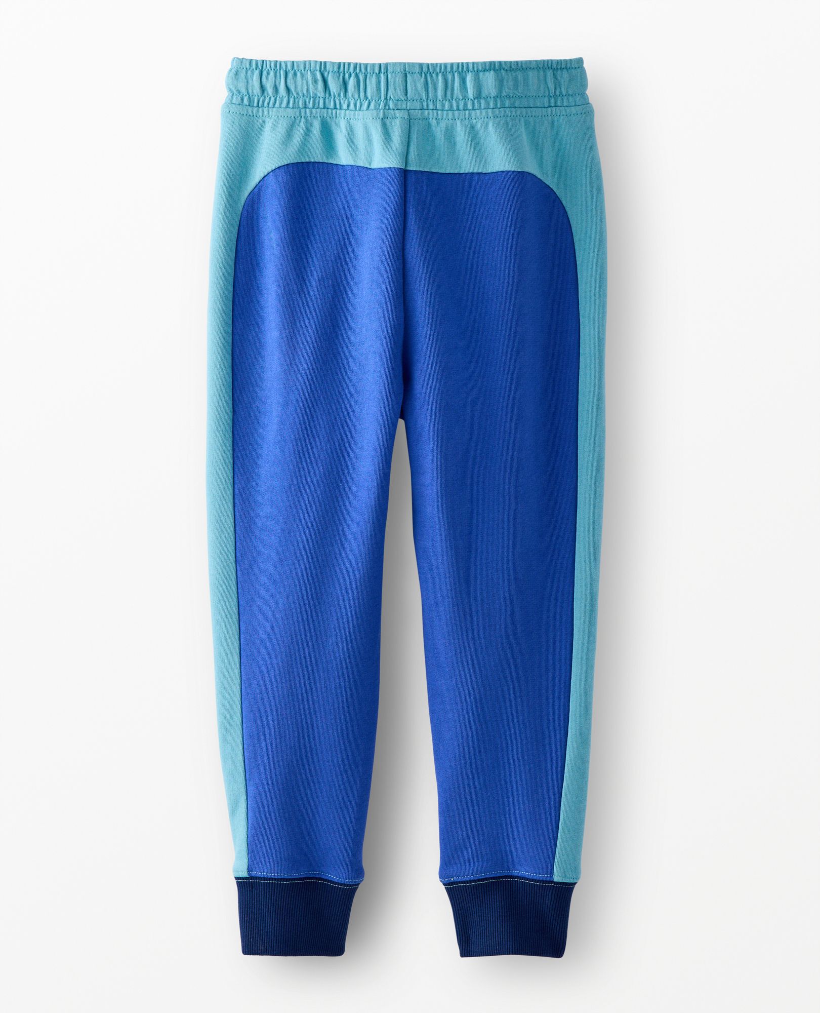 Slim Fit French Terry Colorblock Sweatpants in Blue Colorblock - main