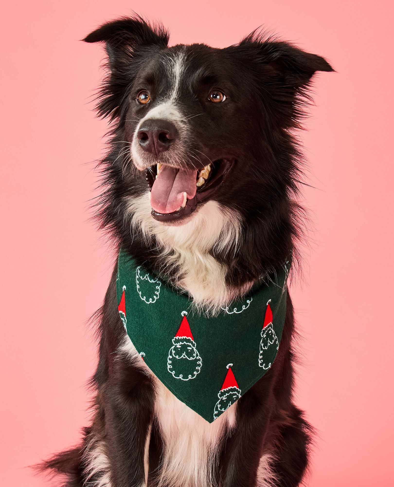 Holiday Flannel Dog Bandana in Santa on Malachite - main