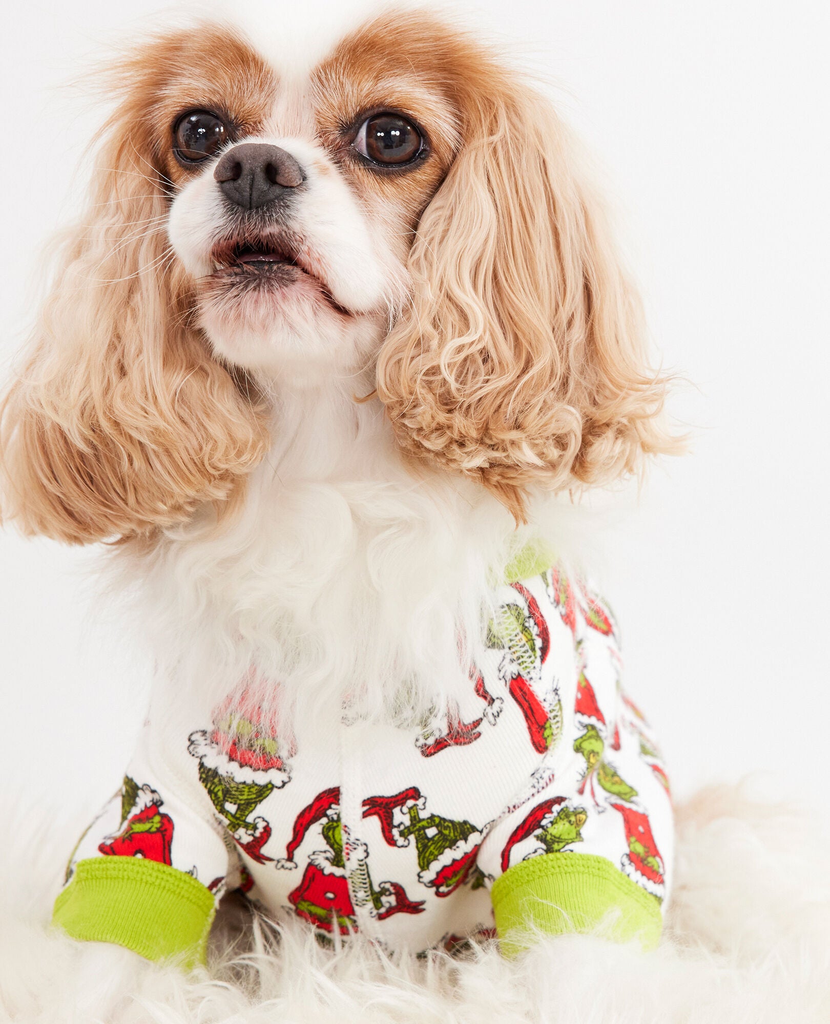 Dr. Seuss Grinch Dog Pajamas