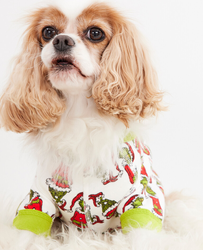 Dr. Seuss Grinch Dog Pajamas in Grinch Mix It Up - main