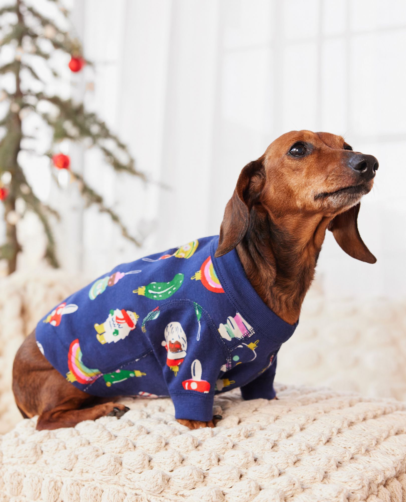 Dog Pajamas Hanna Andersson