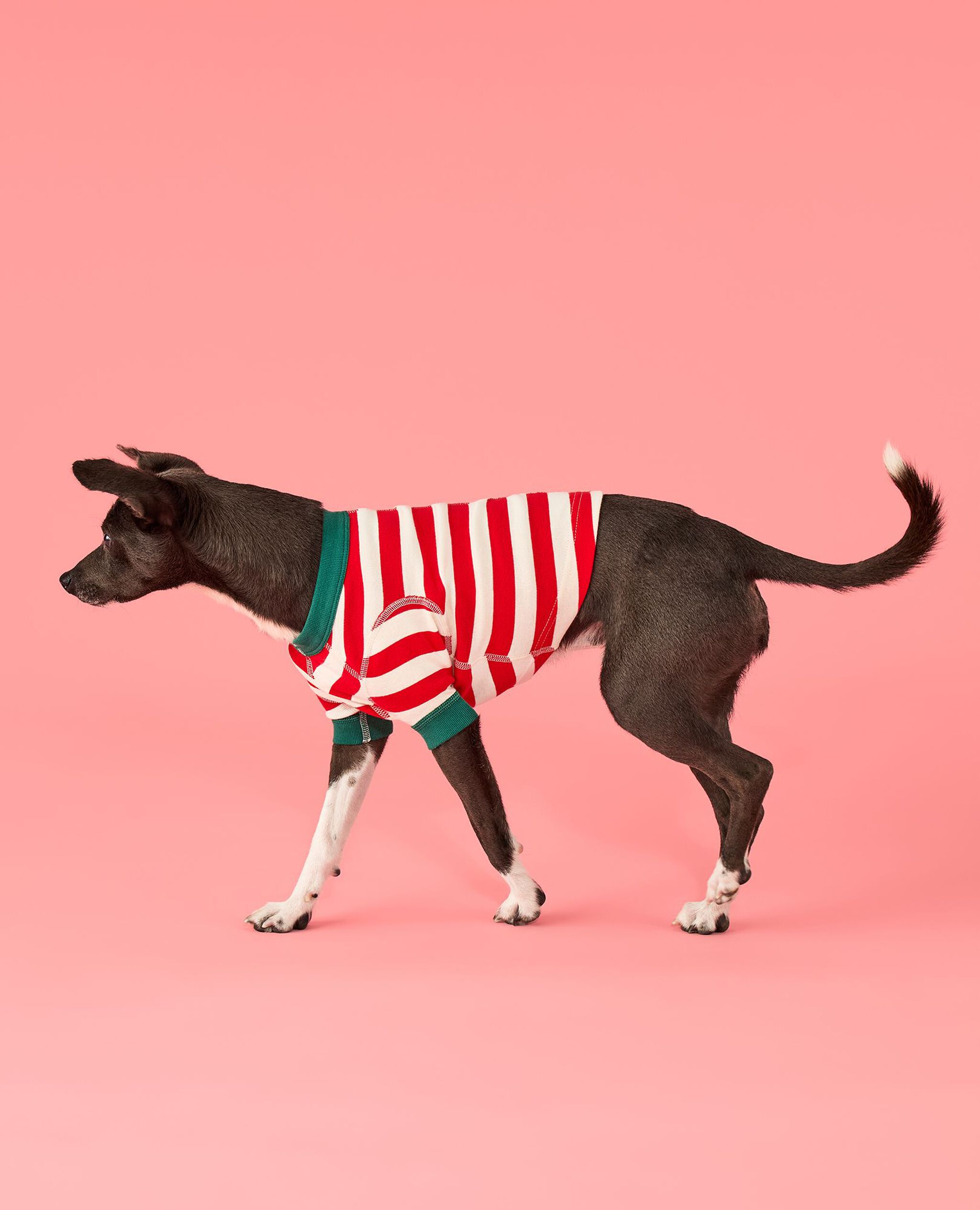 Product image for 50265-2GT