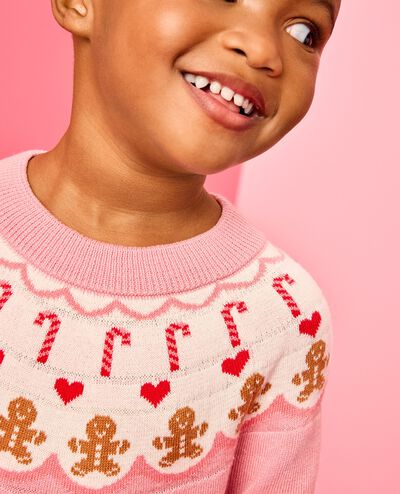 Holiday Fair Isle Sweater Dress in Gingerbread Fair Isle - main