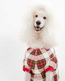 Pet Johns In Organic Cotton in Family Holiday Plaid - main