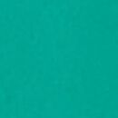 Baby Rashguard & Novelty Swim Hat Set in Frog Set - swatch