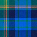 Flannel Button Up Shirt in Blue Winter Plaid - swatch