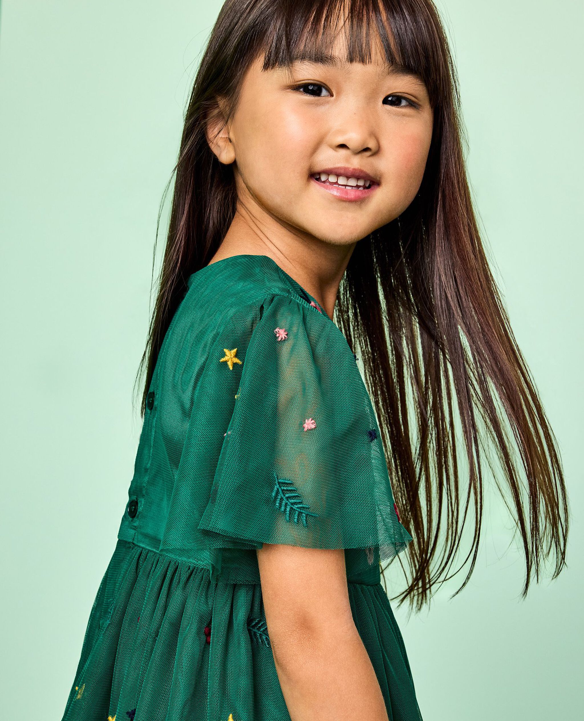 Holiday Tulle Embroidered Dress in Holiday Floral Embroidery - main