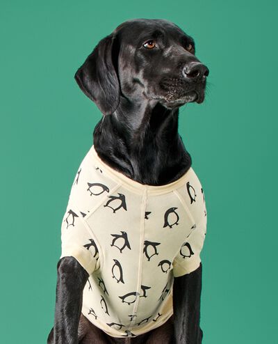 Holiday Dog Pajamas in Squeaky the Penguin - main