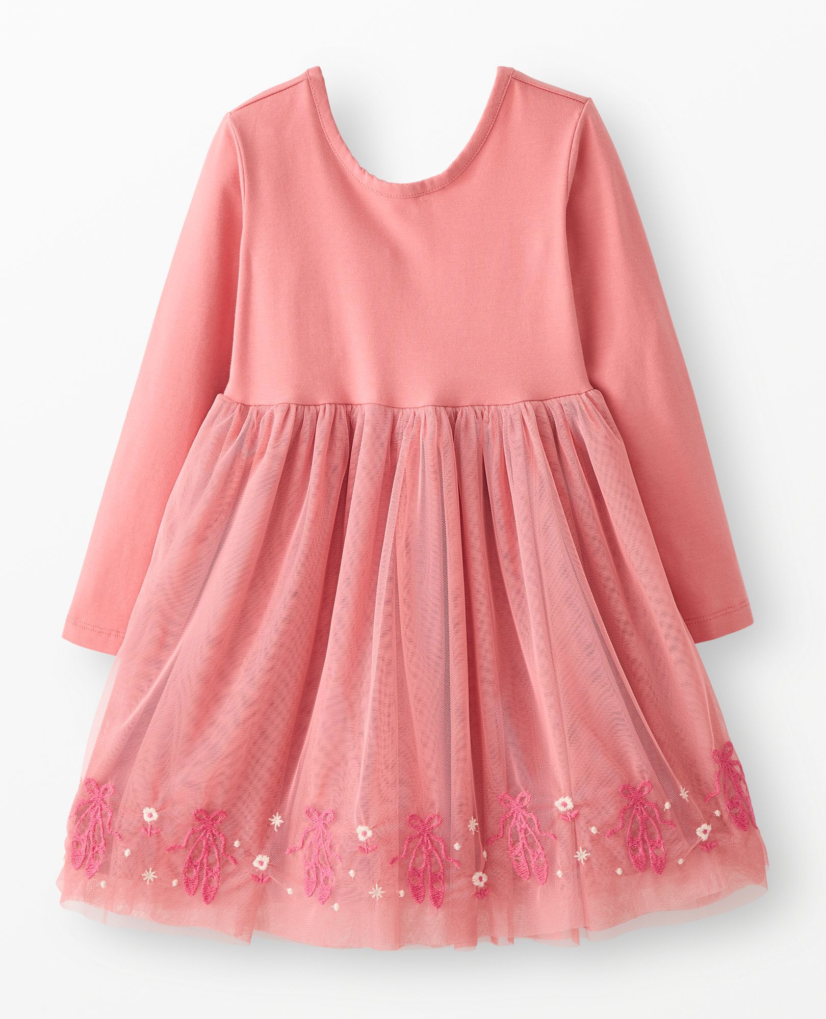 Long Sleeve Tulle Embroidered Skater Dress in Pointe Shoes on Macaron - main