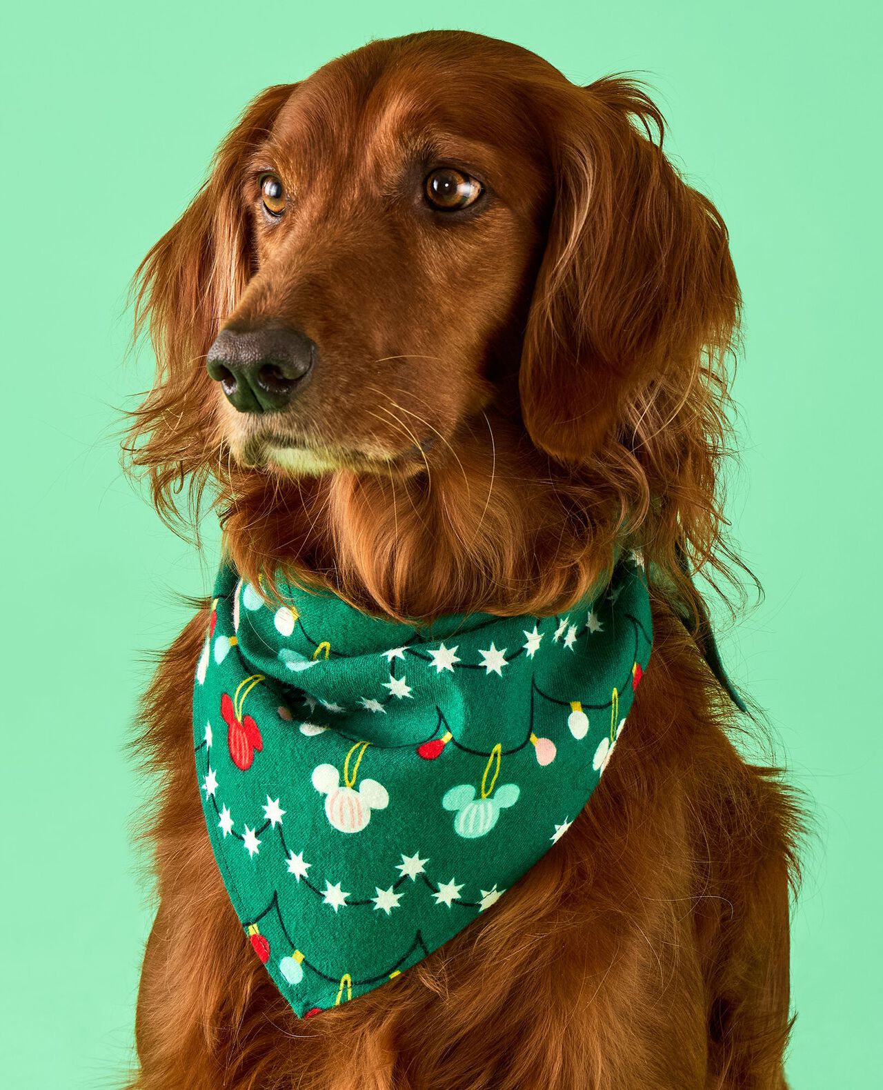 Disney Mickey Mouse Holiday Flannel Dog Bandana in Mickey Garland - main