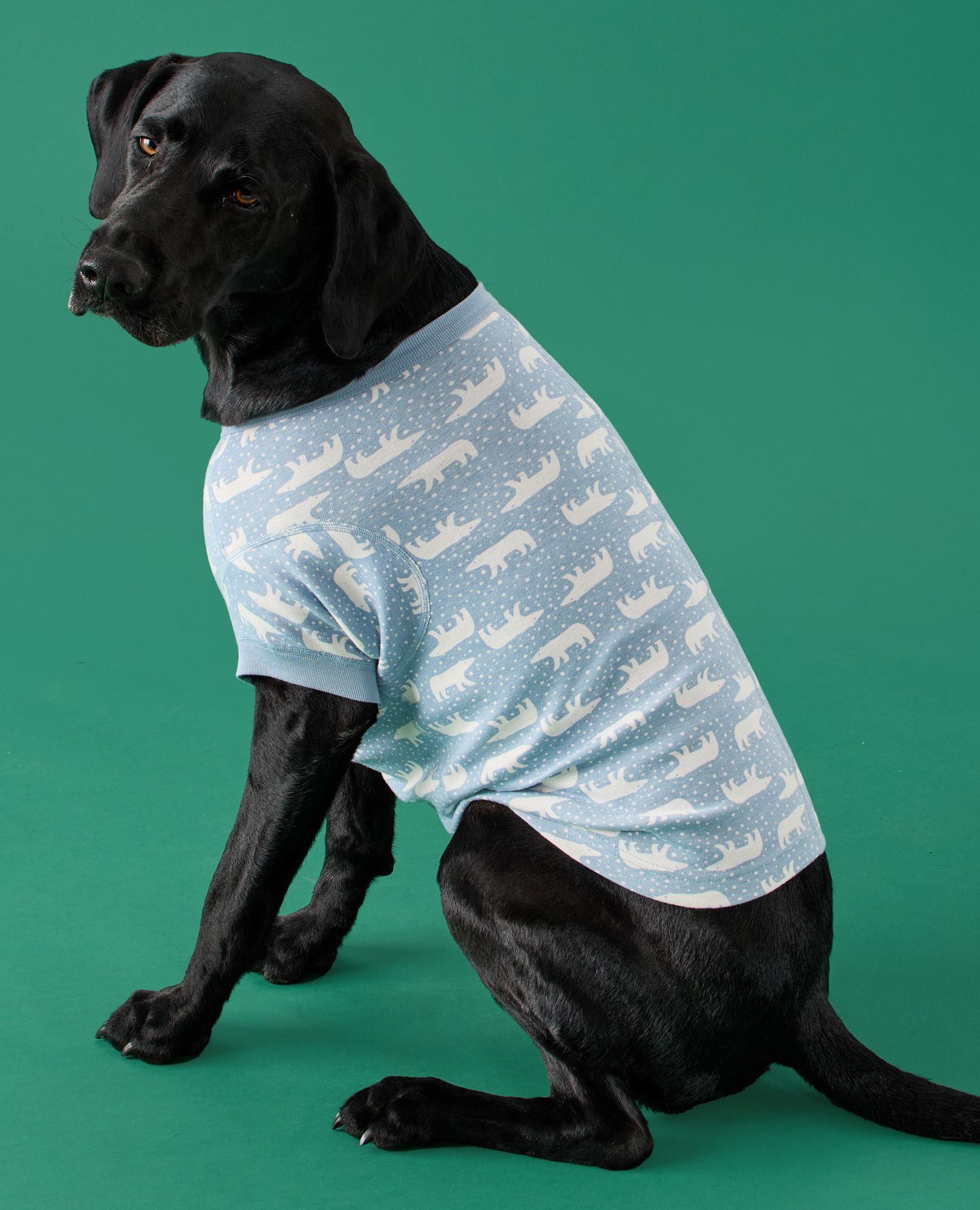Holiday Dog Pajamas in Snowy Polar Bear on North Air - main
