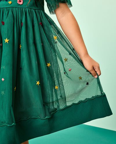 Holiday Tulle Embroidered Dress in Holiday Floral Embroidery - main
