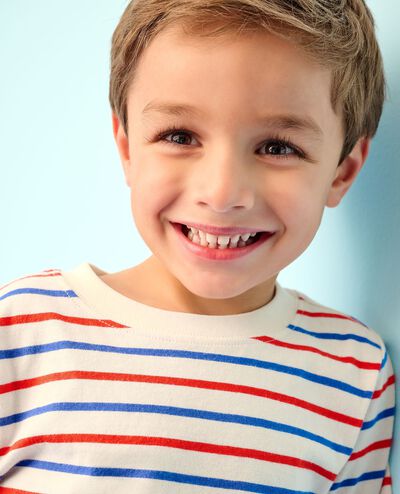 Classic Fit Striped T-Shirt in RWB Stripe - main