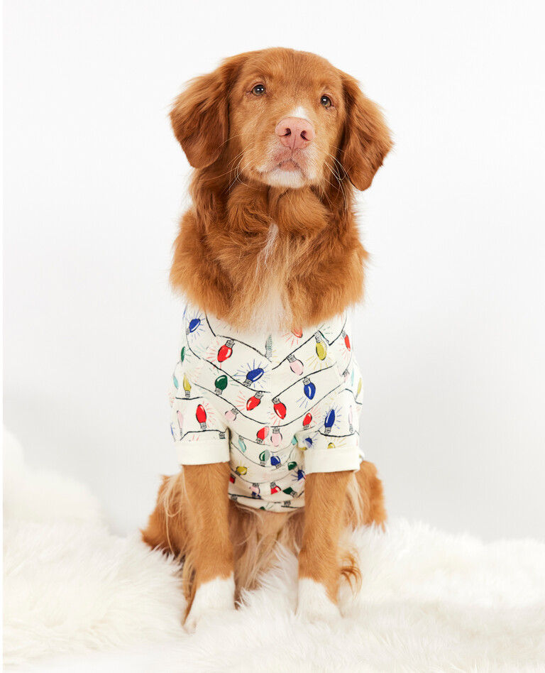 Dog Pajamas in Bright Bulbs - main